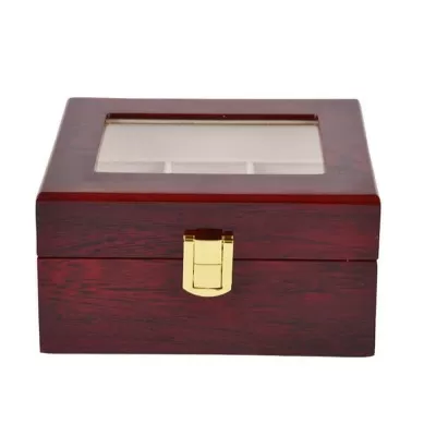 Female hot sale watch box